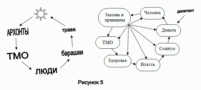 В.М.Бронников - Схема пищевой цепочки